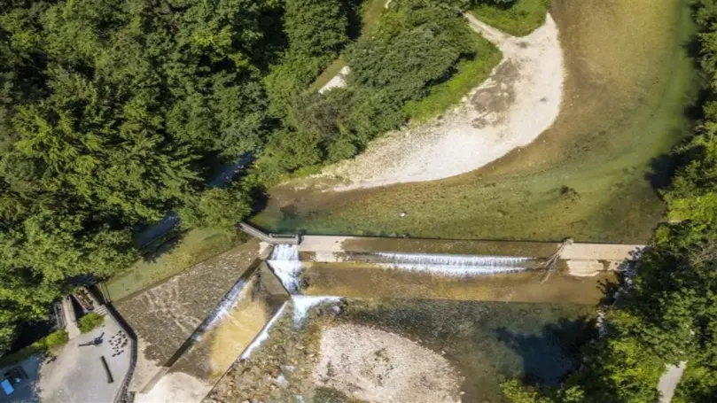 Bioremediation techniques for treating toxic wastewater